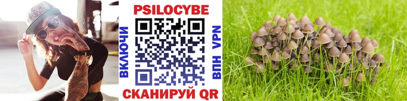 Псилоцибиновые грибы мухоморы наркота Коркино